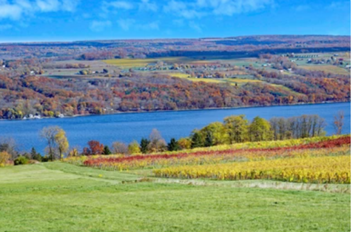 Things To Do In Finger Lakes