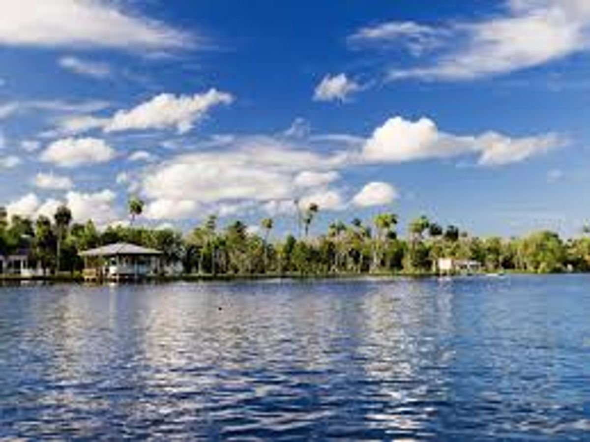 Things To Do In Homosassa FL