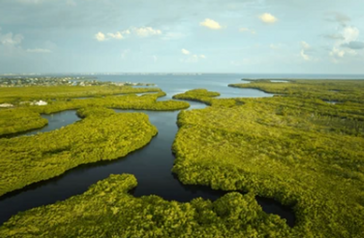 Things To Do in Everglades