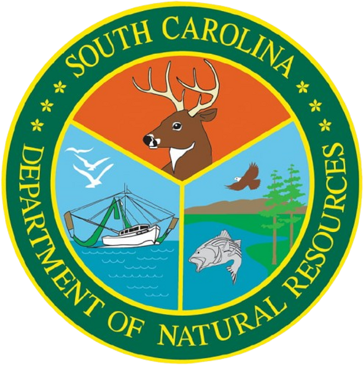 South Carolina Fishing License 