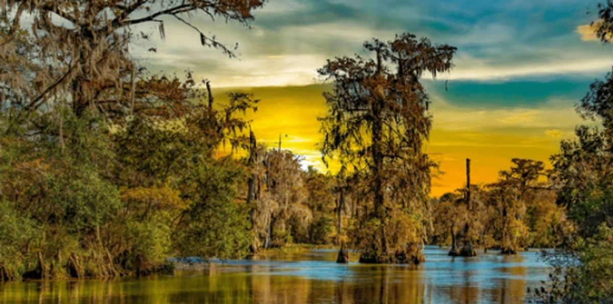 Get Your Valid Louisiana Fishing And Hunting License