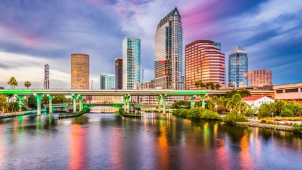 Things To Do In Tampa FL