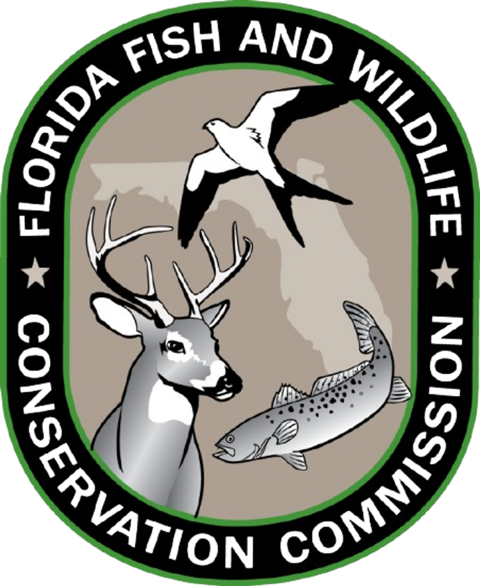 Get Your Valid Florida Fishing License