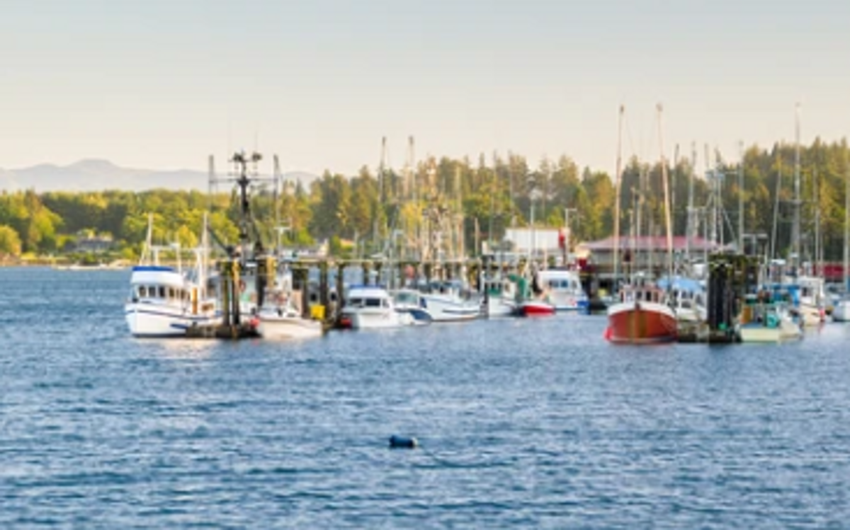 Get Your Valid British Columbia Fishing License 