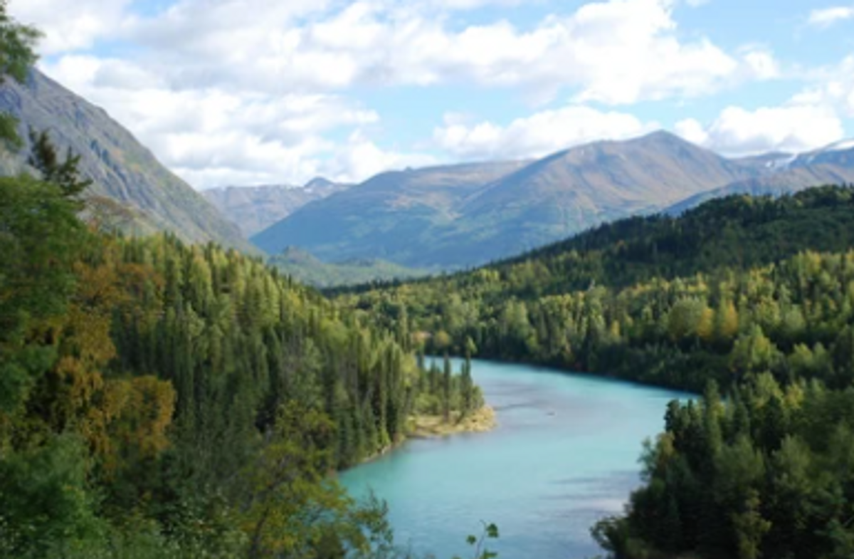 Things To Do In Kenai River