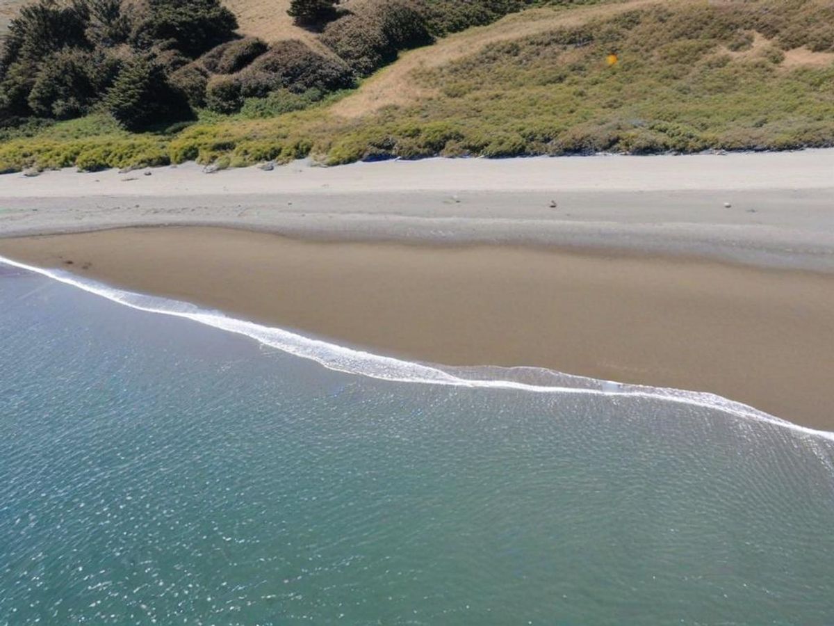 Things To Do in Bodega Bay