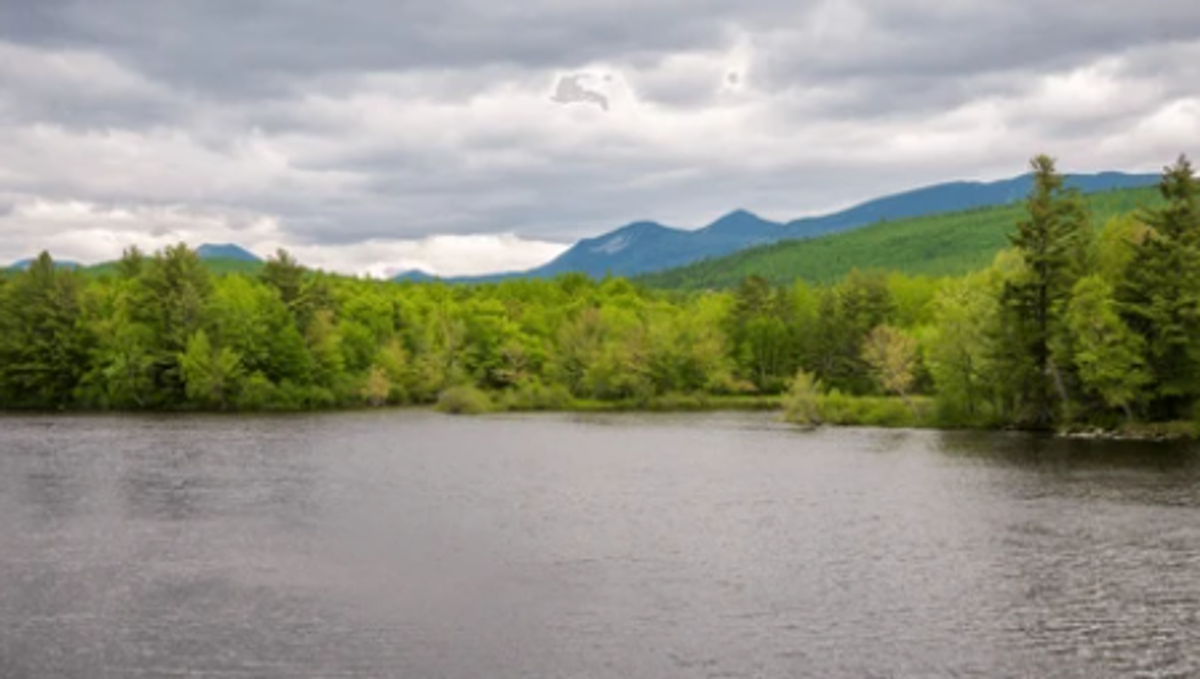 Get Your Valid Maine Fishing License 