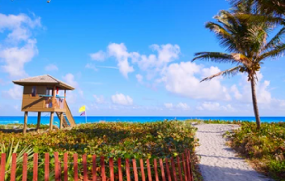 Things To Do In Delray Beach 