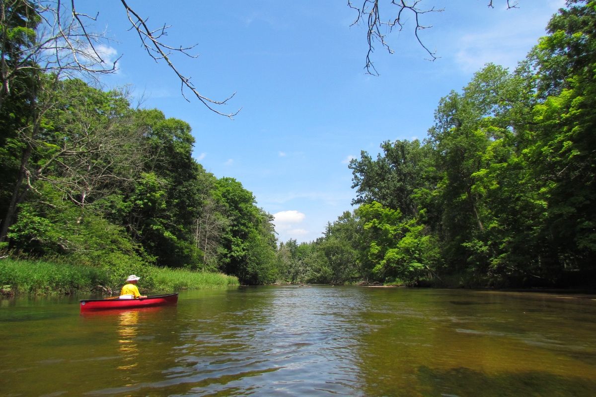 Things To Do In Pere Marquette River