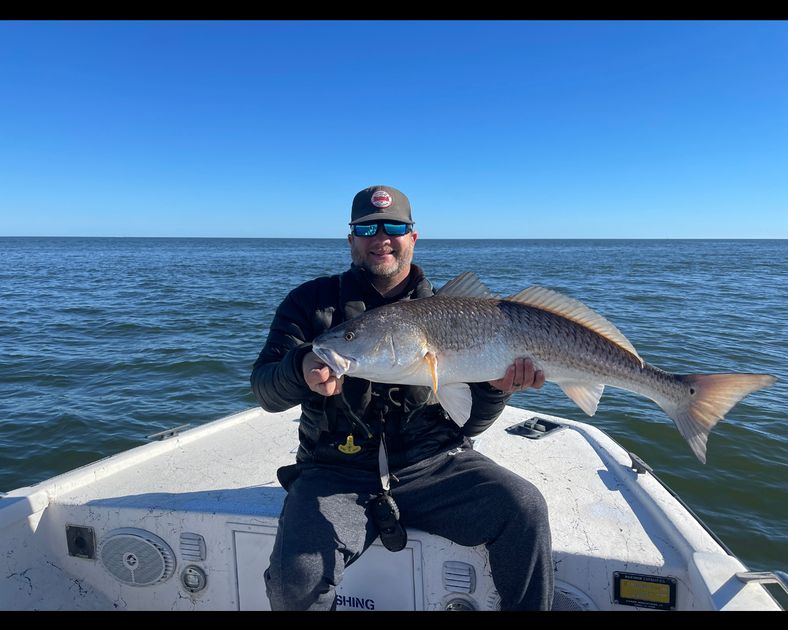Louisiana Fishing Charters Rates