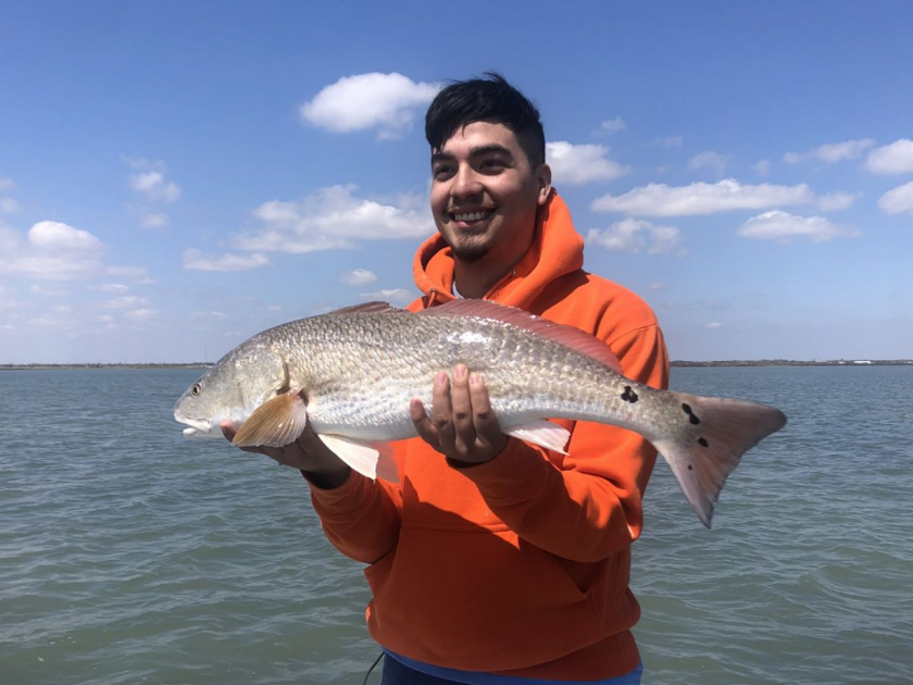 Port Aransas Fishing Species Fish of the Gulf of Mexico