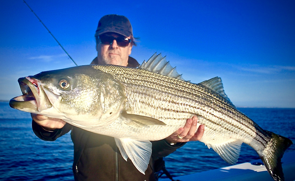 Meet Captain Sean Tracey of Portsmouth | Fish Taco