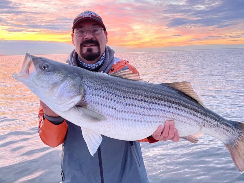 SAVE Fishing】Y－pen240 No.77 SB-77.7