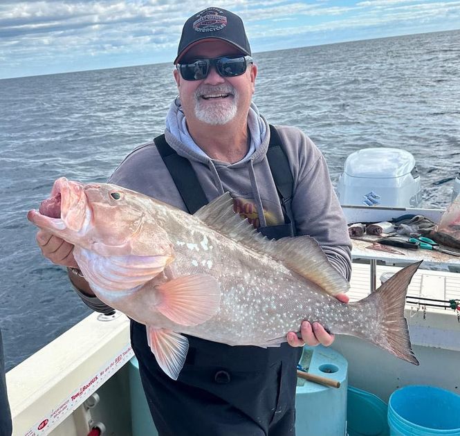 Want Fish Tales? Meet Captain Todd Collier of Cape Coral!