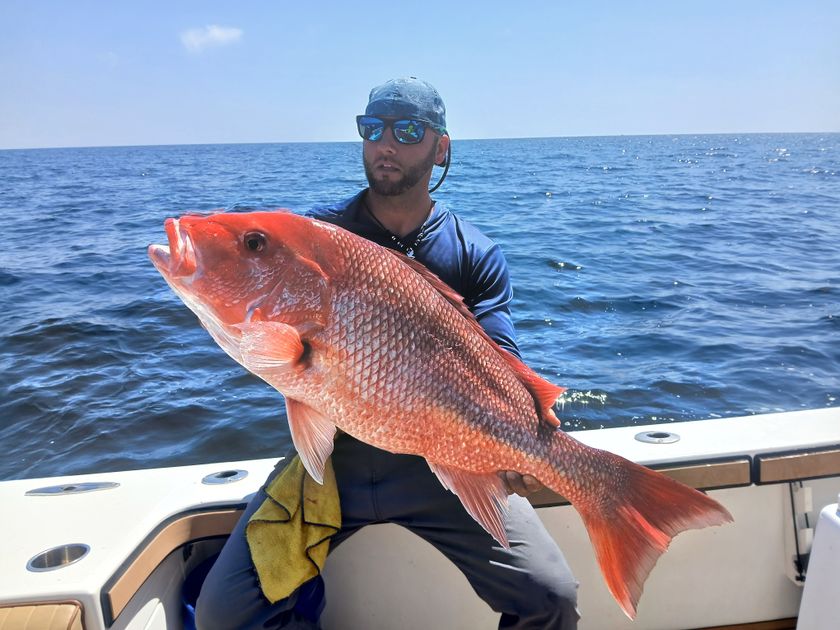Discover must-catch fish species in Pensacola Beach!