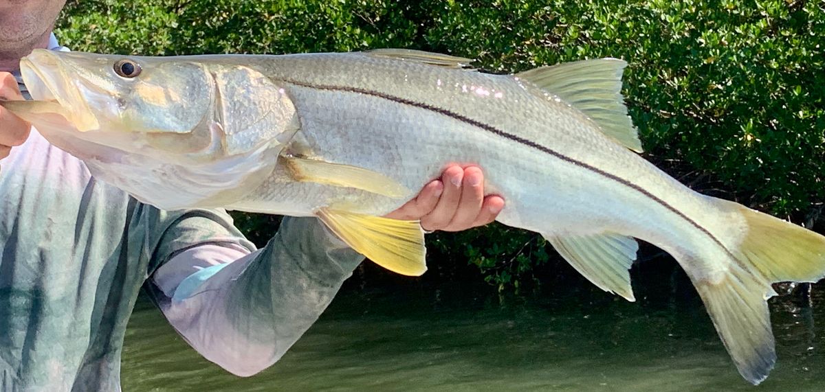 All 4 Chuck Fishing Charters LLC