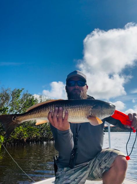 Pine Island Fish Species