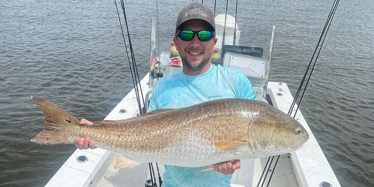 Fish Species in North Carolina: A Guide to Tar Heel Waters