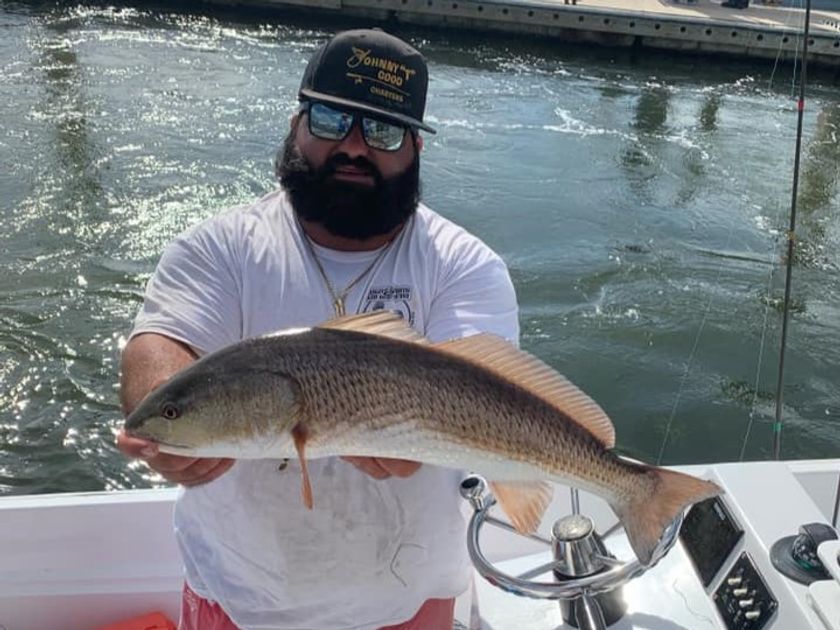 Tampa Fishing Charters | Johnny T Good Charters