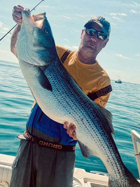Meet Captain Mark Rowell | Boston Fishing Charters