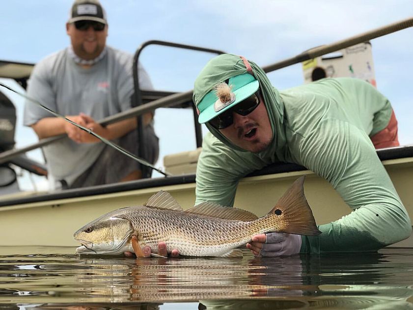 Diverse Delights: Fish Species in St. Petersburg!