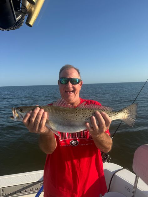best hook for live bait fishing Live Bait