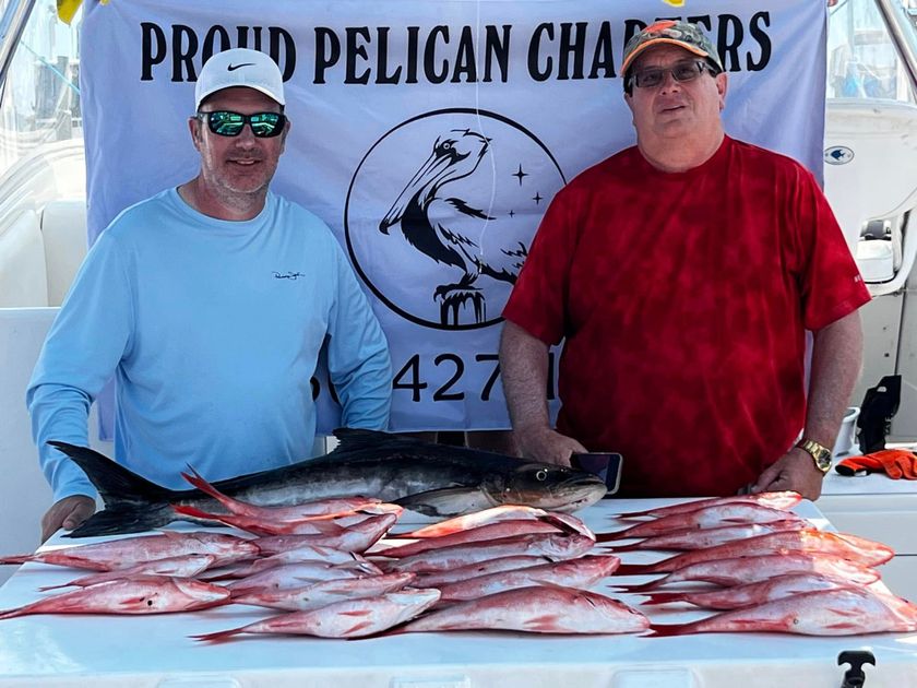 Pensacola Beach fishing catch 12