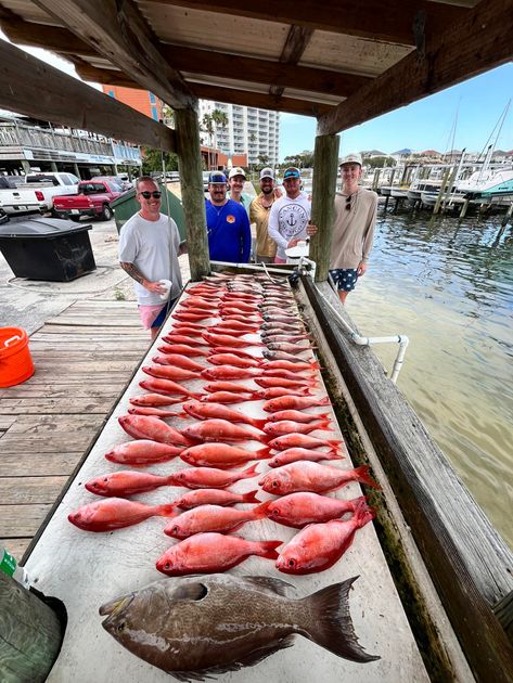Pensacola Beach fishing catch 15