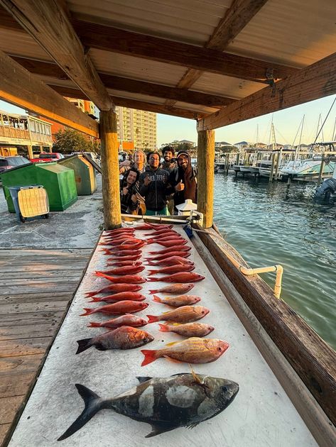 Pensacola Beach fishing catch 18