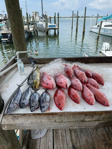 Pensacola Beach fishing catch 22