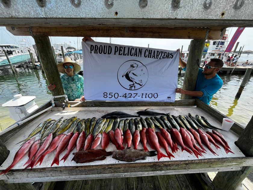 Pensacola Beach fishing catch 24
