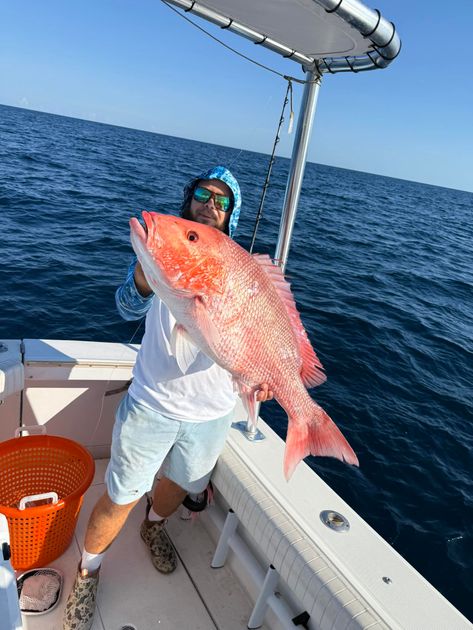 Pensacola Beach fishing catch 26