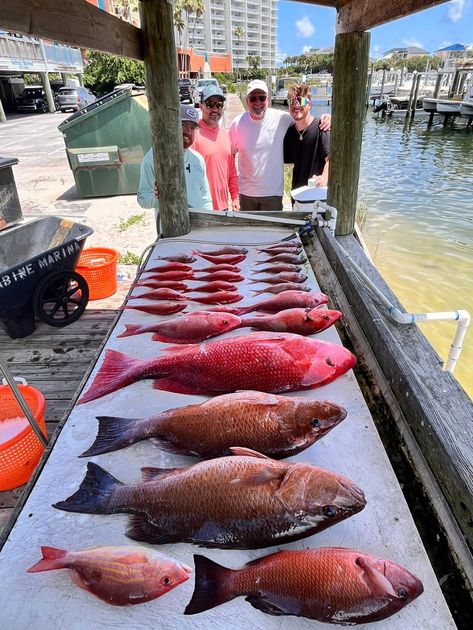 Pensacola Beach fishing catch 30
