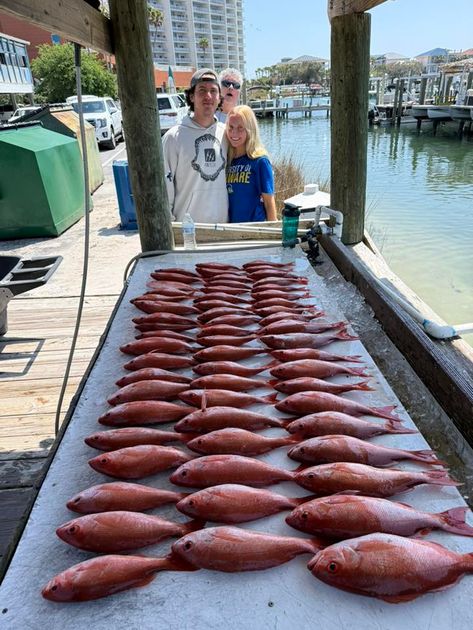 Pensacola Beach fishing catch 39