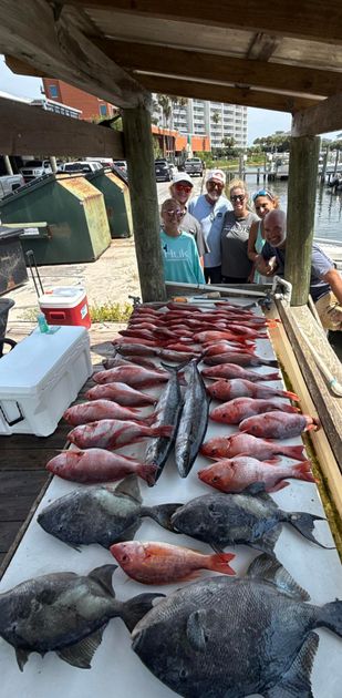 Pensacola Beach fishing catch 52