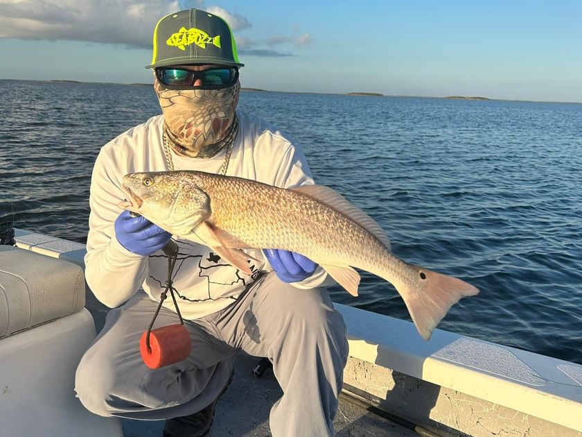 South Padre Island Guided Fishing: Perfect for Beginners
