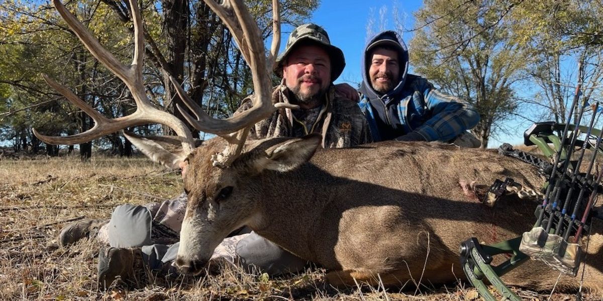 Top-Rated Colorado Elk Hunting Trips | J&B Outfitters