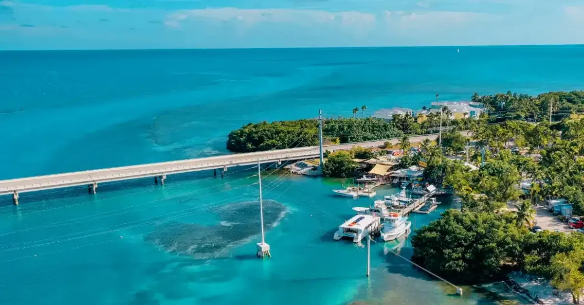 Top Things To Do In Islamorada - Oceanside Charters