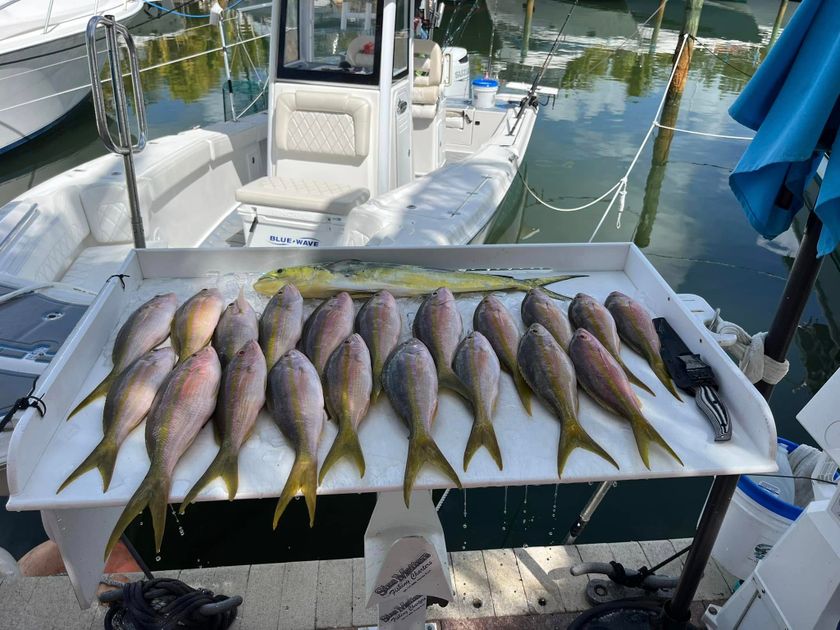 Florida Bay Monroe FL on February 01,2025