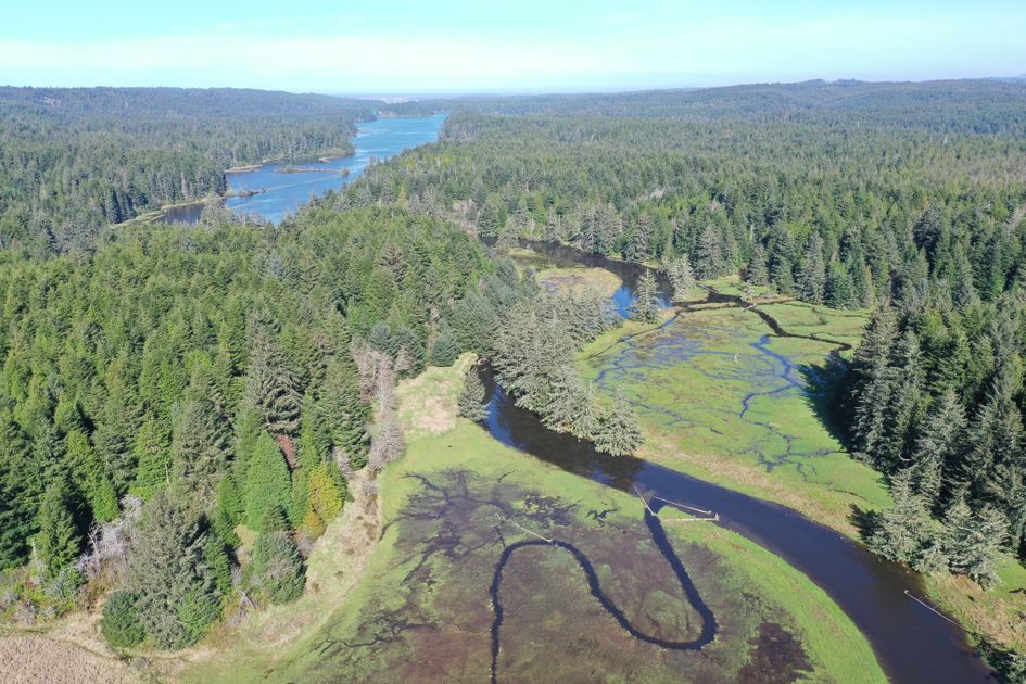 Top Things to Do in Charleston & Coos Bay | One More Guide Servic
