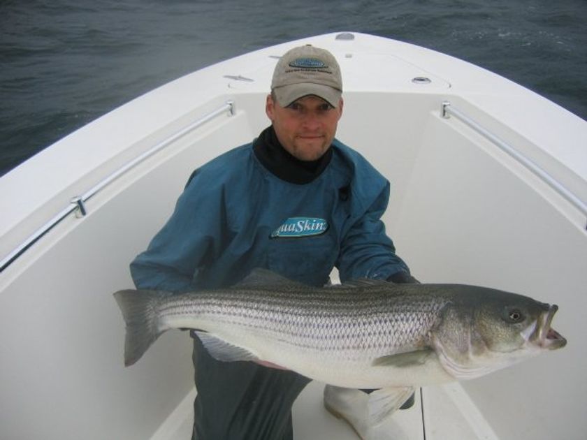 Top-Rated Cape Cod Striped Bass Fishing | BunkerDown