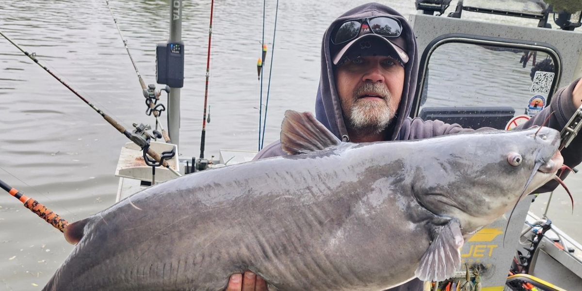 Best Guided Flathead Catfish Night Trip in Ohio