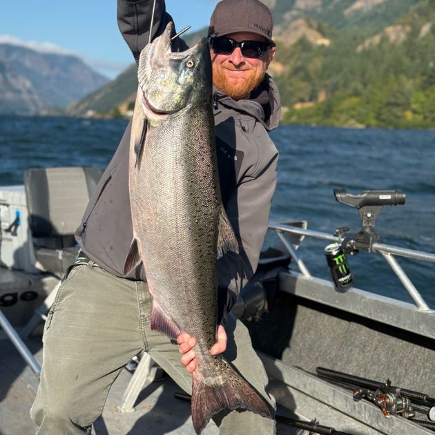 Discover The Fish Species In Washington State