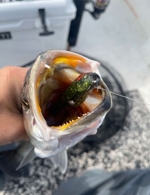 Top-Rated NC Inshore Fishing | Flexible Locations