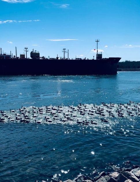 Cape Cod Canal 1 on March 09,2023