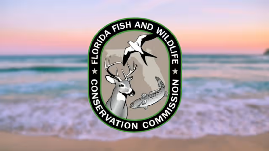 Florida Fishing License Info Marathon | Traveler Guide