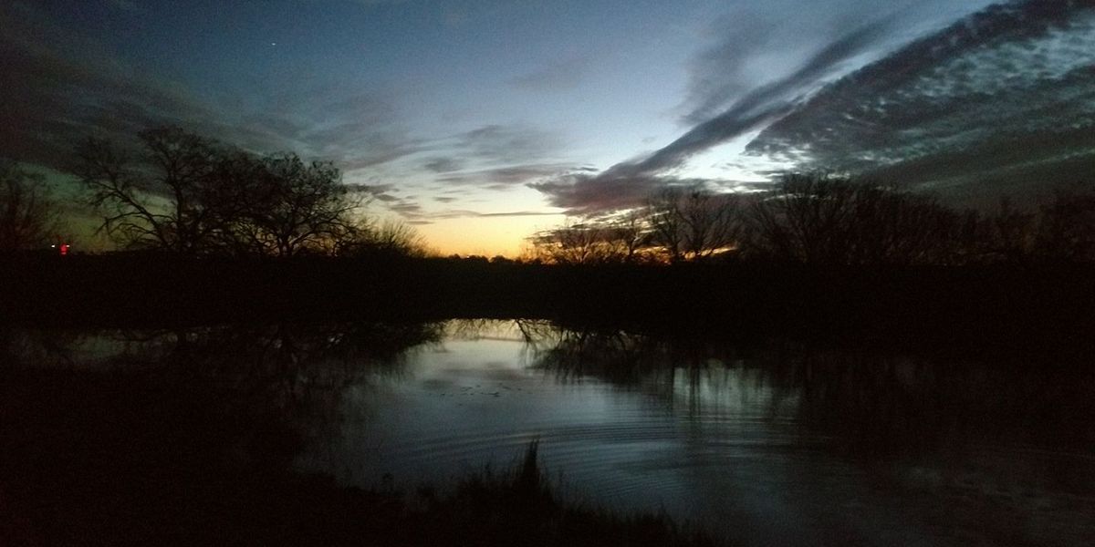 Top-Rated Blackbuck Doe Hunt | ATX Outfitters Texas
