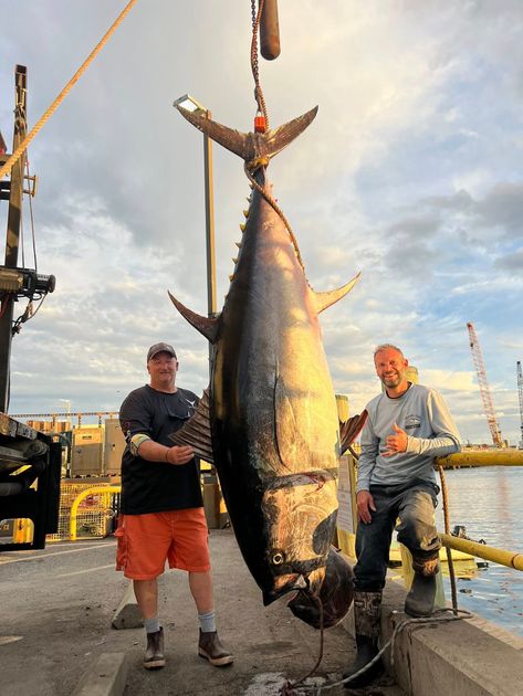 blue fin fishing pole Giant Bluefin Series  E-Fish-Ent Custom Rods ensuring easy storage and transportation Okuma Fin Chaser X Series