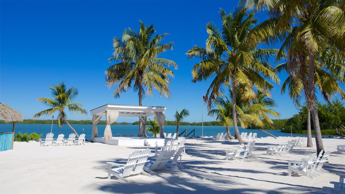 Top 5 Attractions to Visit in Islamorada, FL