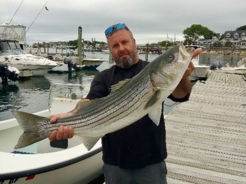 Top-Rated Boston Striper Fishing Charter | Legit Fish